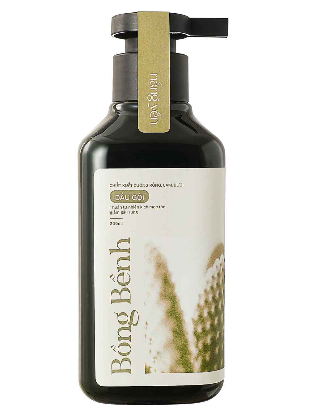 Packshot Đã Chết Vì sao Ảnh Nền Trắng Vẫn Là Vua Của Bán Lẻ Trực